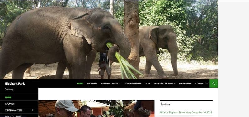Página web de Elephant Haven (El campamento de elefantes de Sai Yok en Kanchanaburi)