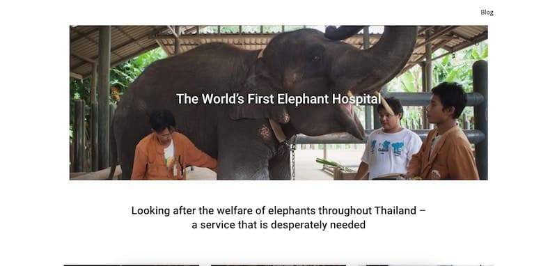 Hemsidan för Friends of the Asian Elephant Hospital (FAE)