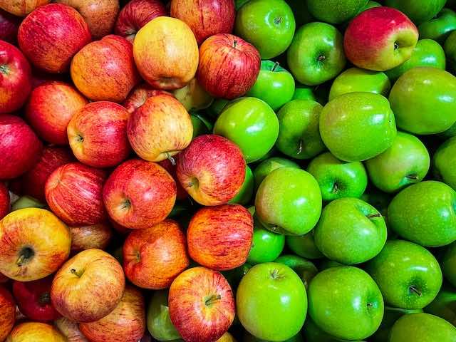Apples, a great source of dietary fiber for Elephants.