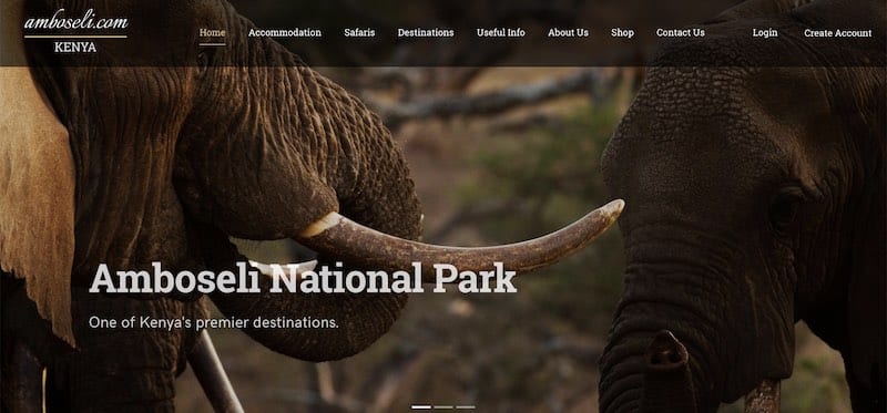 Homepage of Amboseli National Park, Kenya