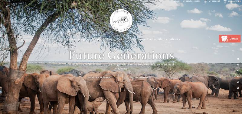Homepage of The David Sheldrick Wildlife Trust, Kenya